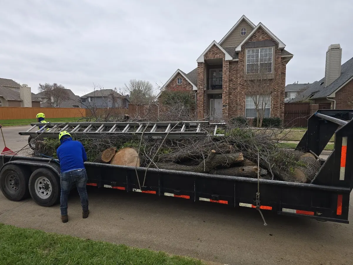 Expert Lot Clearing with proper safety equipment in Whitman